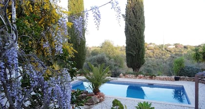 New! Charming Villa, exotic and peaceful Garden, very private + airco