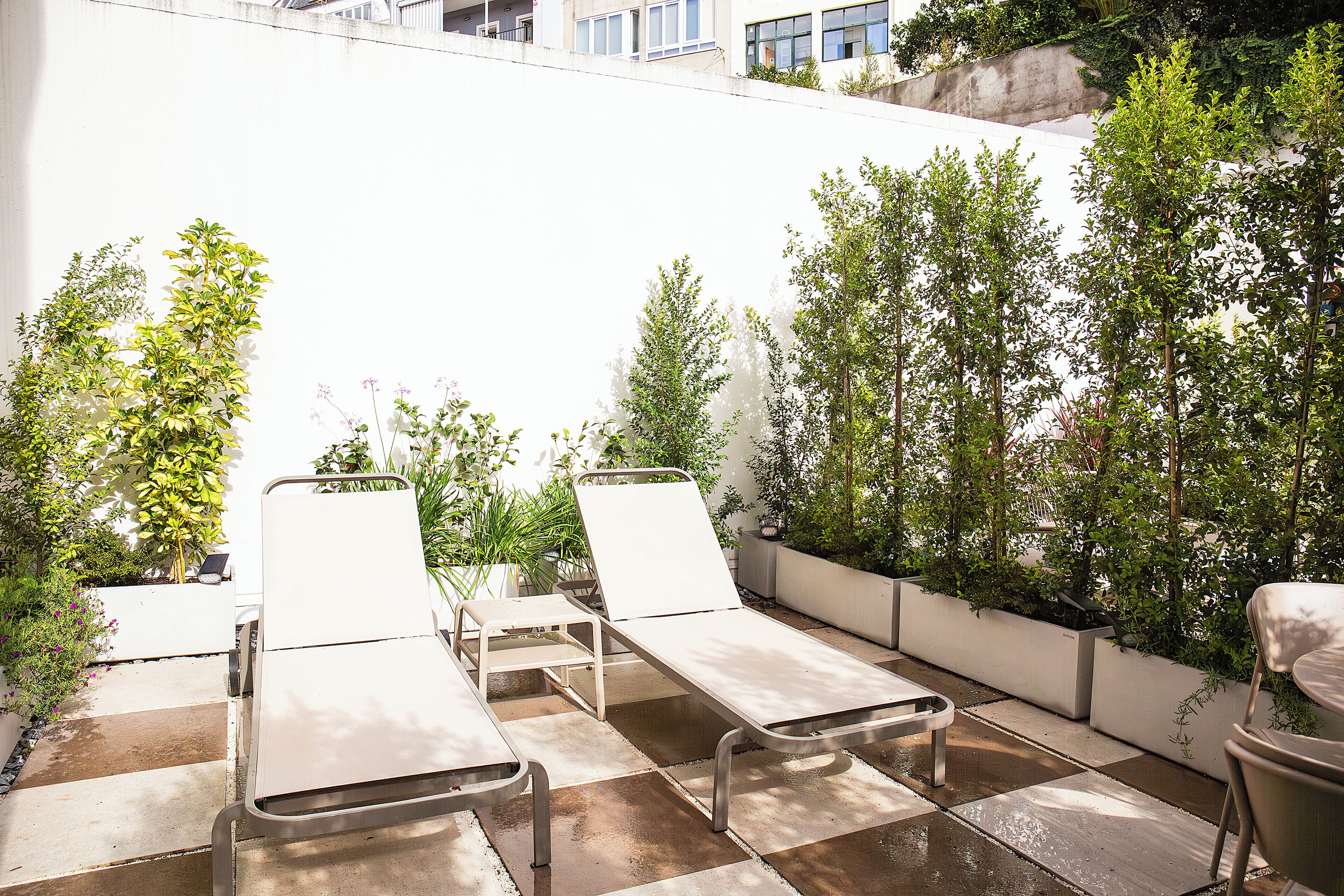 A patio area with three sun loungers, a small table, and potted plants.