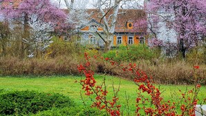 Eksteriør