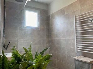 Shower, hair dryer, towels