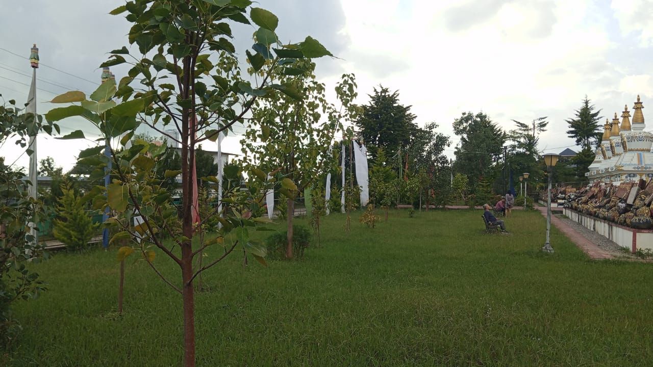 Phòng