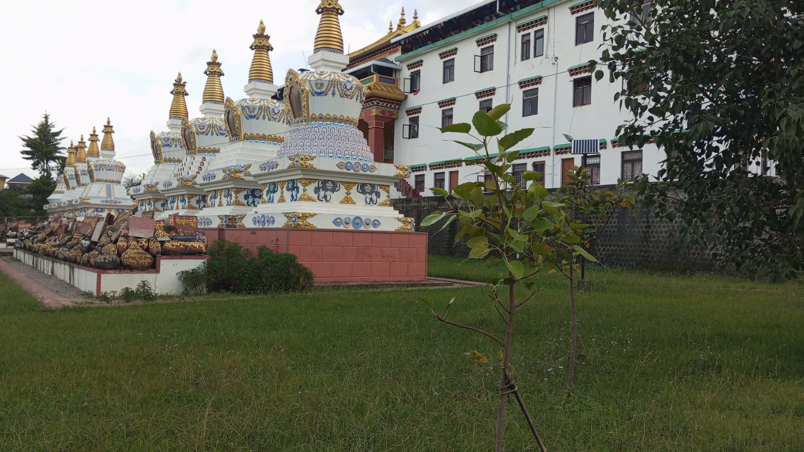 Phòng