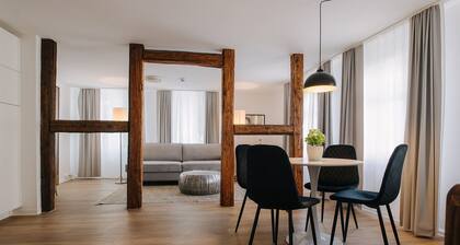 Modern apartment in the city center
