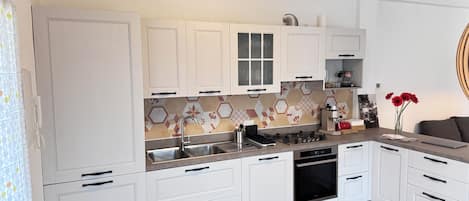 Fridge, oven, stovetop, dishwasher