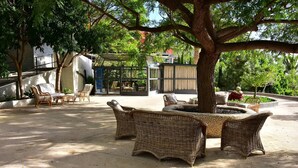 An outdoor seating area with wicker furniture under a large tree, a glass enclosure with a view, and a stone planter. - Loft África Villas Cruz Mayor (Telde)