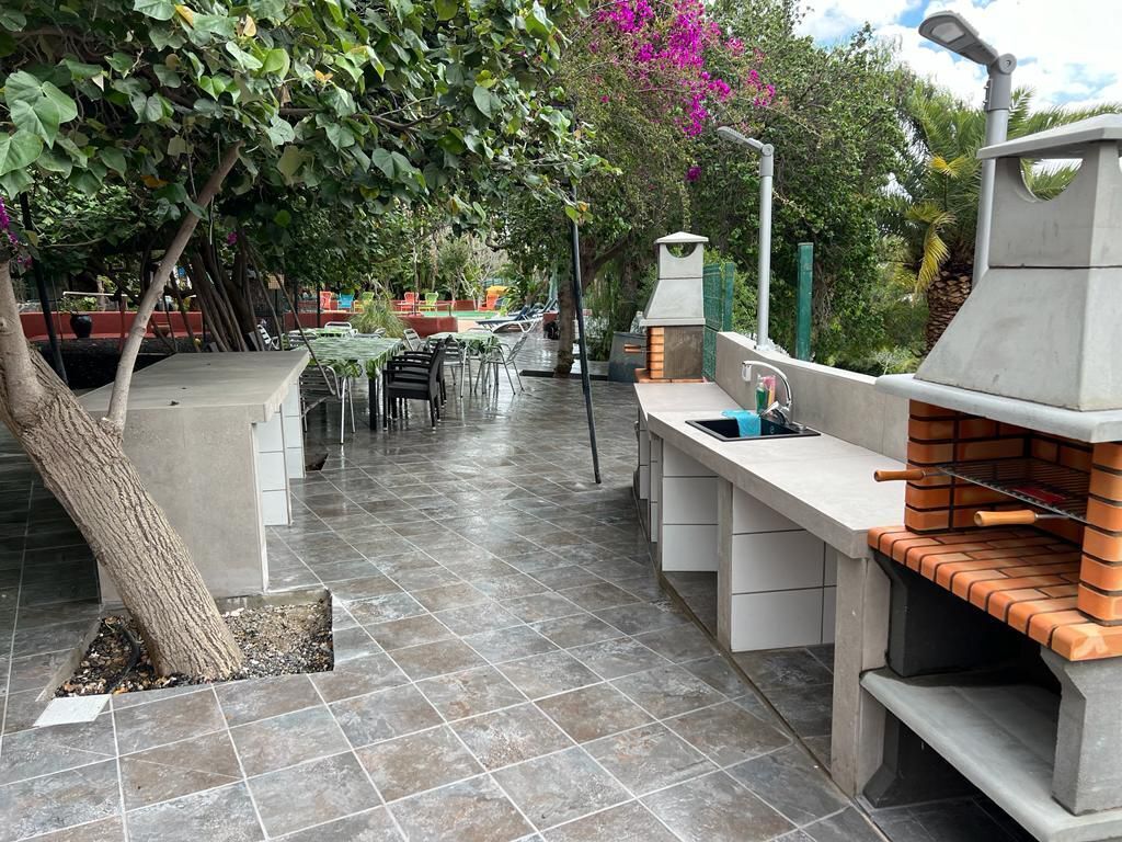 An outdoor patio with a built-in grill, seating area, and a tree providing shade.