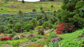 Apartemen, 1 kamar tidur, patio, pemandangan kebun | Halaman properti