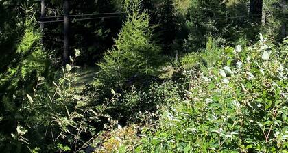 Holiday apartment Pontresina for 1 - 4 persons with 1 bedroom - Holiday apartment in one or multi-fa