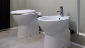 Une salle de bain avec des toilettes et un bidet.