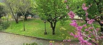 Casa dos Tinocos