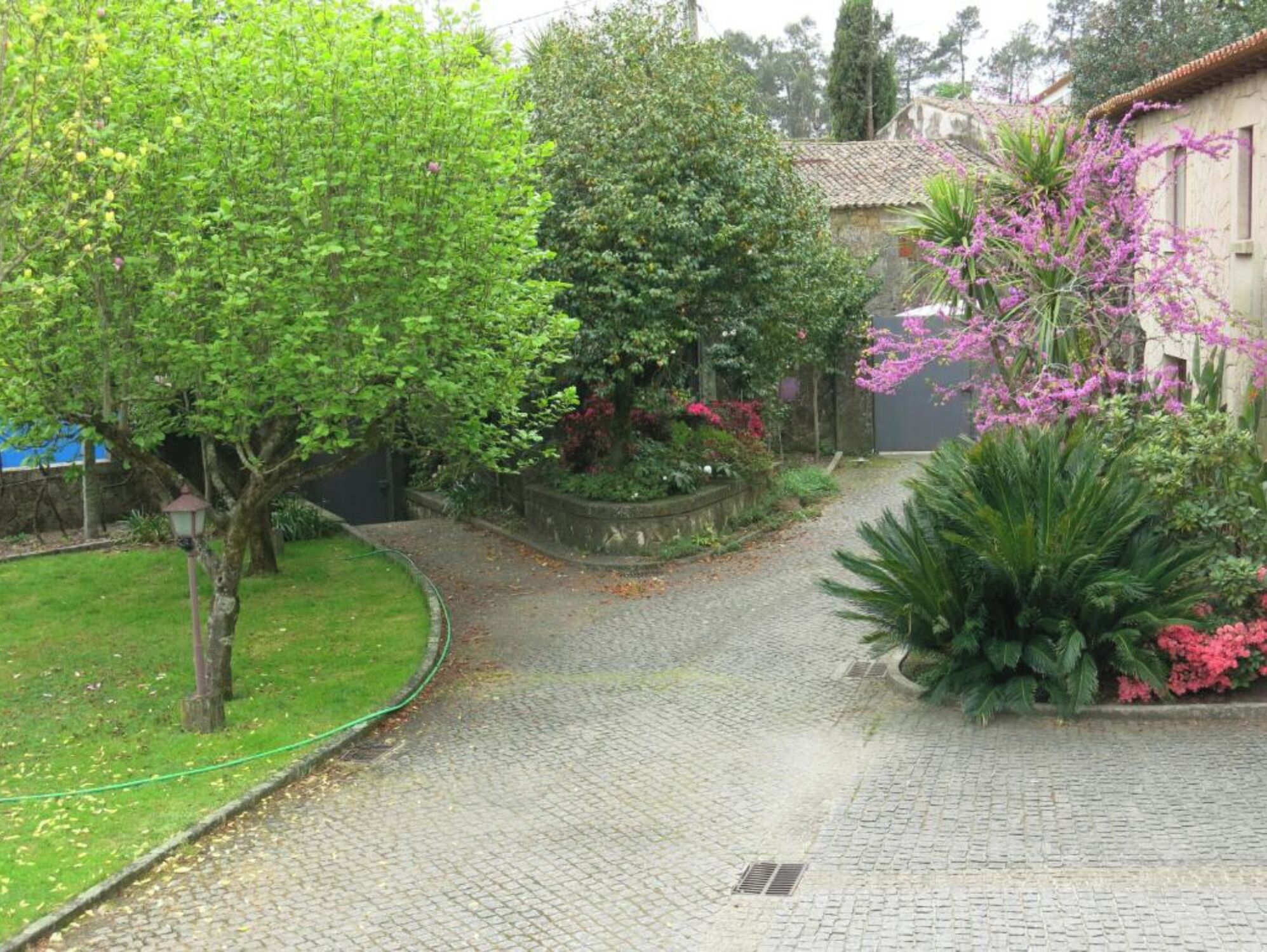 Un sentier pavé de pierres menant à travers un jardin où l’on trouve différentes espèces d’arbres et de plantes à fleurs.