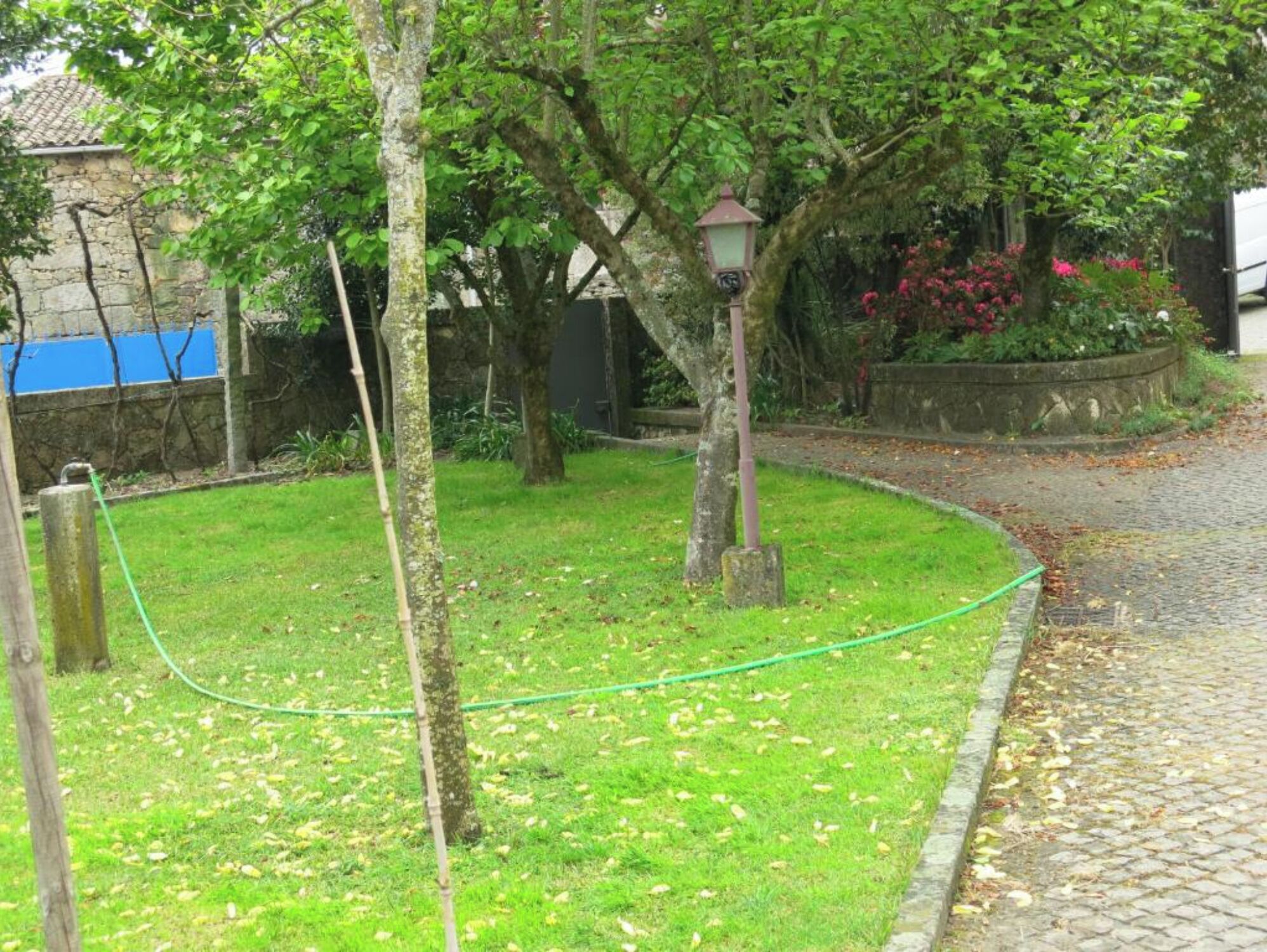 A garden with a paved path, a lamp post, and a stone wall.