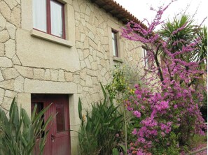 Detall de l'exterior
