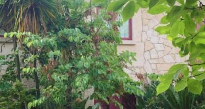 Casa dos Tinocos