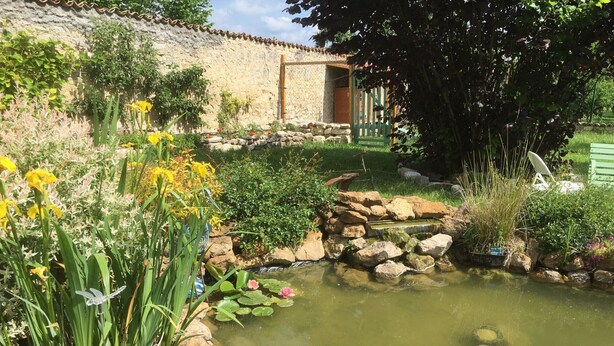 Ein Garten mit Teich, Steinen und verschiedenen Pflanzen.