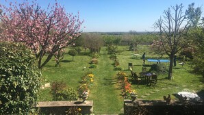 Ein Garten mit Rasen, einem Tisch, Stühlen und einer blauen Tischdecke.
