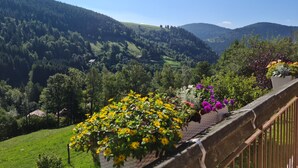Property grounds - Charming mountain B&B rooms, pets allowed with approval (Ventron)