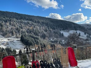 Snow and ski sports - Charming mountain B&B rooms, pets allowed with approval (Ventron)