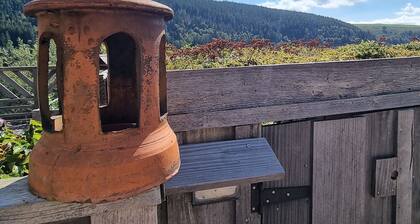 Charmantes chambres d'hĂŽtes en montagne, animaux admis sur accord