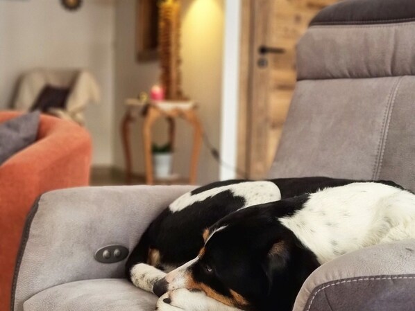 En hund sover på en grå sofa i en stue.