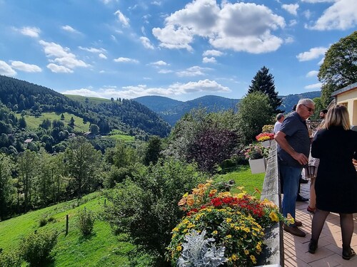 Charming mountain B&B rooms, pets allowed with approval