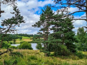 Miscellaneous - Peaceful guesthouse with breakfast near the forest (Sembadel)