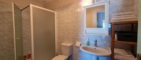A bathroom with a shower, toilet, sink, and a mirror above the sink.