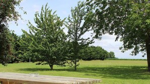 Une table de pique-nique dans un parc verdoyant, avec des arbres en arrière-plan.