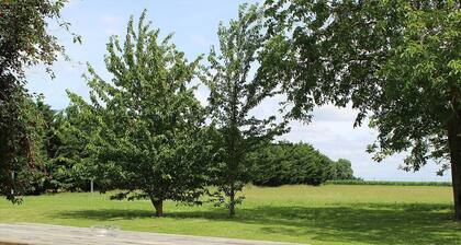 Ferme rénovée prÚs de Beaugency, 4 chambres, petit-déjeuner maison, proche Loire à Vélo