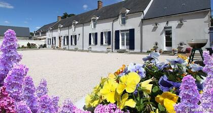 Renovated farm near Beaugency, 4 rooms, homemade breakfast, near Loire à Vélo