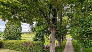 A gravel path flanked by trees and a hedge, leading into a rural landscape.