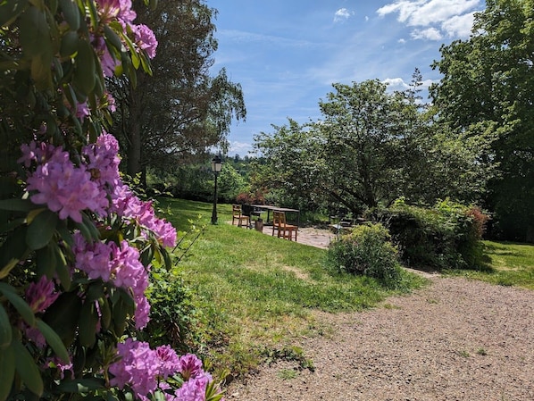 Un espace jardin agrémenté d’un chemin de gravier, d’une table et de chaises en bois, et d’un lampadaire.