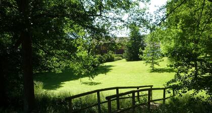Chambres Ă©lĂ©gantes au cĆur de la forĂȘt d'Argonne