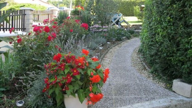 Un sendero en un jardín con flores rojas y un seto a la derecha.