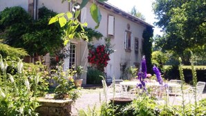 A house with a garden, outdoor seating, and a variety of plants.