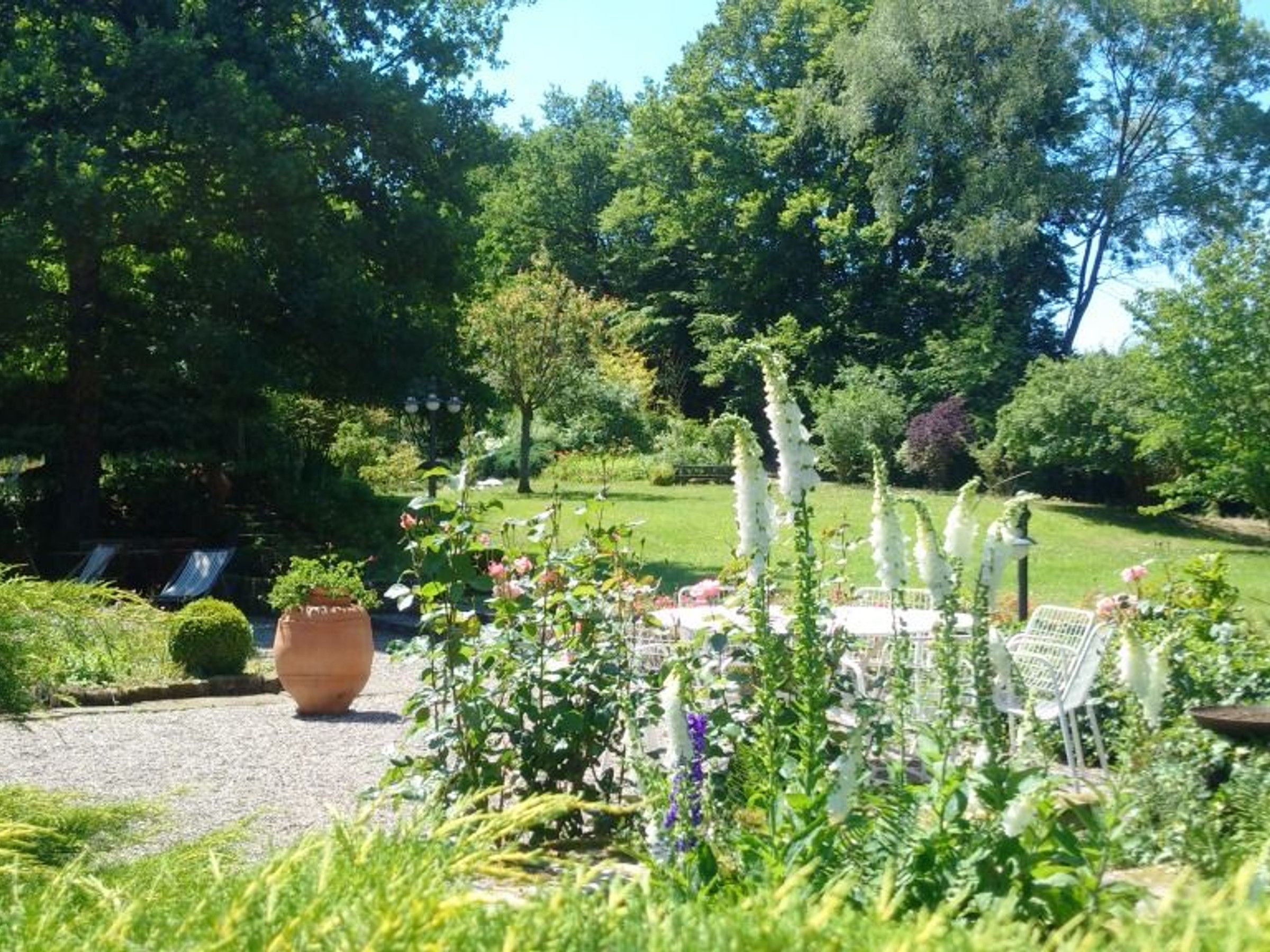 Ein Garten mit verschiedenen Pflanzen und einem großen Blumentopf im Vordergrund.