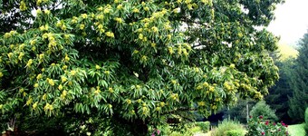 Spring Room with Park and Nature Activities