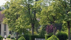 Un jardin bien entretenu, avec des pelouses impeccables, une variété de plantes à fleurs et des haies soigneusement taillées.