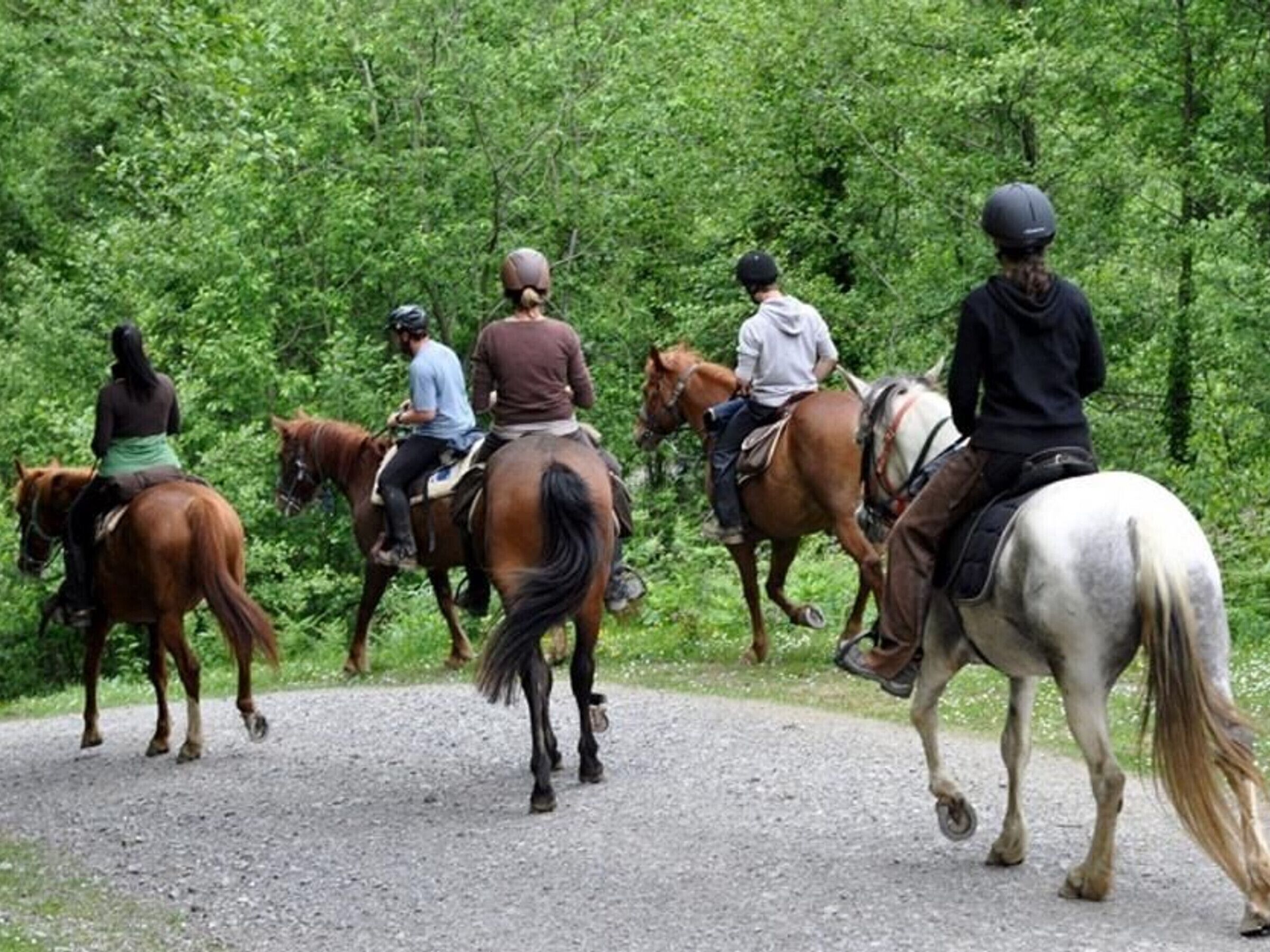 A group of people riding horses on a gravel path surrounded by dense greenery.