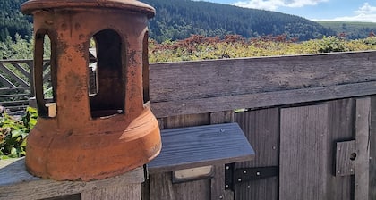 Chambres d'hĂŽtes confortables en montagne avec animaux admis