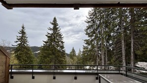 A wooden deck with a metal railing, overlooking a forested area with tall trees.