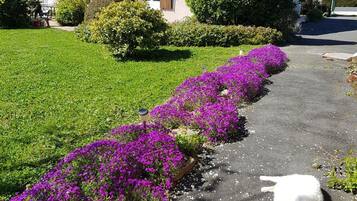 Jardines del alojamiento