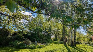 A lush garden with a variety of trees and shrubs, a well-maintained lawn, and a clear sky. - Tranquil B&B near Castles and Beauval Zoo (Châtillon-sur-Indre)