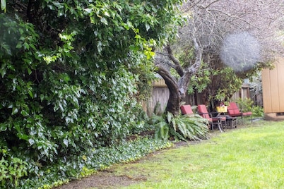 "Park Place" @ #RedwoodSkyWalk & Sequoia Park Zoo: 5BD*, Pool Table, Game Room, Kiva, Gas Grill!