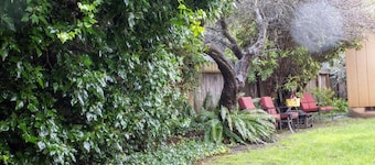 "Park Place" @ #RedwoodSkyWalk & Sequoia Park Zoo: 5BD*, Pool Table, Game Room, Kiva, Gas Grill!