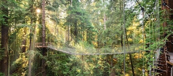"Park Place" @ #RedwoodSkyWalk & Sequoia Park Zoo: 5BD*, Pool Table, Game Room, Kiva, Gas Grill!