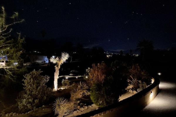"A starry night under the joshua trees"