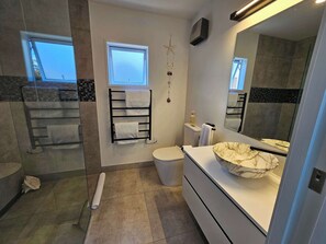 Shower, hair dryer, towels