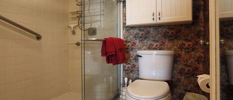 A bathroom with a glass shower enclosure, a toilet, and a sink.