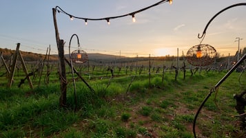 Vue sur la campagne depuis lâhĂ©bergement
